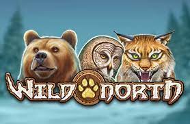 Kupasan Permainan Slot Online Wild North dari Play’n Go