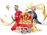 Panduan Memilih Platform Taruhan Olahraga Sportsbook Terbaik Dan Berkualitas