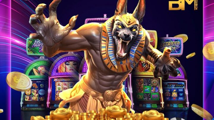Panduan Memilih Platform Judi Online Live Casino Terbaik Dan Berkualitas Tinggi